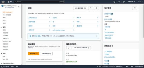 亞馬遜云服務器搭建與互聯(lián)網域名注冊圖文詳解教程